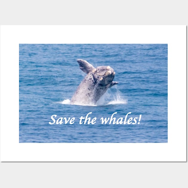 Save the whales Wall Art by Naturelovers